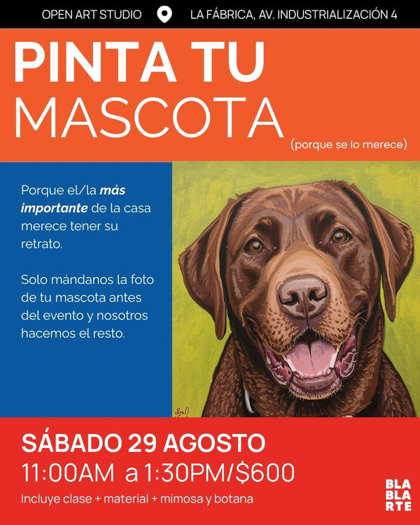 PINTA TU MASCOTA