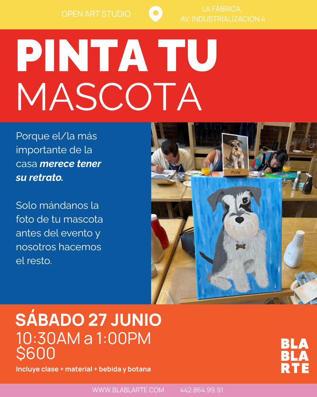 PINTA TU MASCOTA