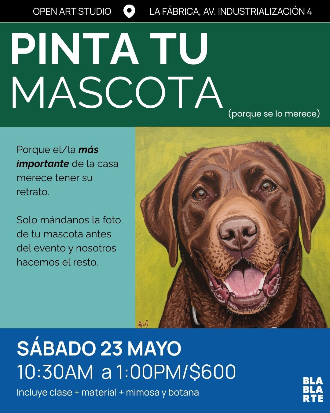 PINTA TU MASCOTA
